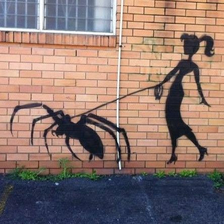 lady walking spider stencil west end brisbane